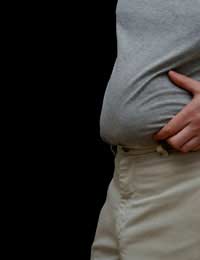 Fat Digestive System Stomach Meat Fatty