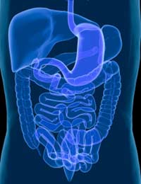 Tummy Trouble Upset Stomach Abdominal